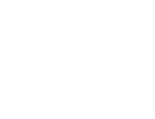 PLESKIT logo white